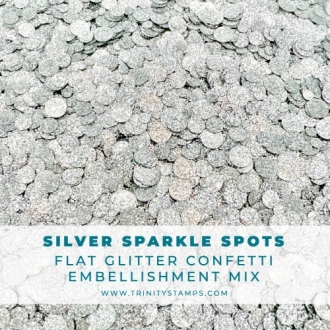 Silver Sparkle Spots Flat...